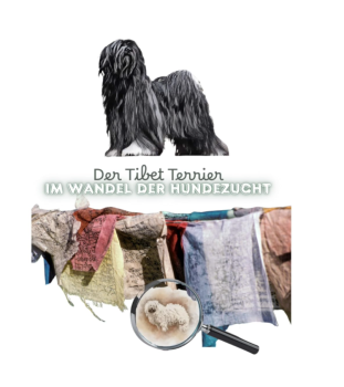 Tibetan Terrier - The Lost Connection